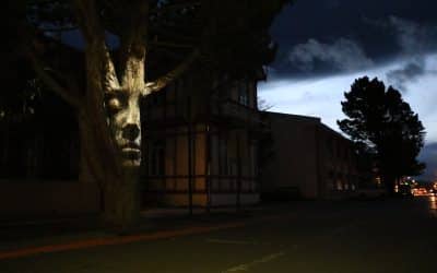 «Con una masiva presencia de público se presentó el reciente sábado en la plaza de armas de esta ciudad la obra “El árbol que habla en Puerto Natales”