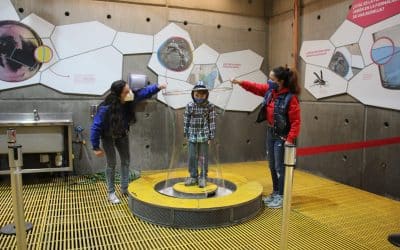 Muestra del Museo Interactivo Mirador estará en Puerto Natales en colaboración con el municipio natalino