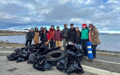 Limpieza del Borde Costero